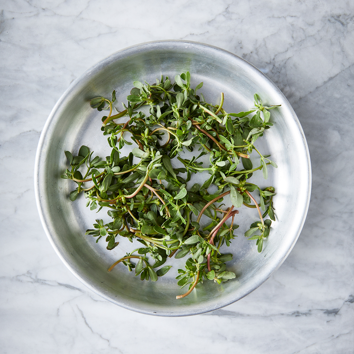 Yana bir porno Natasha Kichkina jinsiy olat haqida tanam epizodidan uyalaman